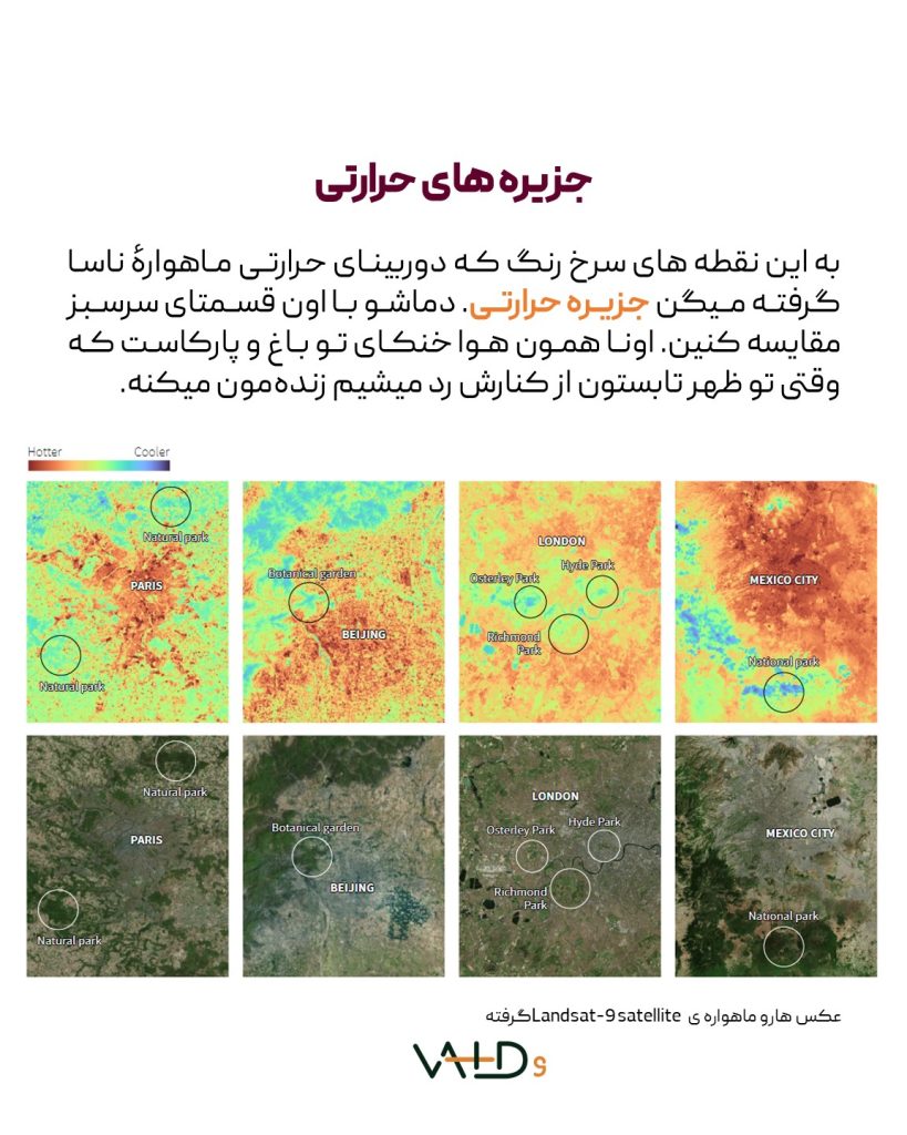 جزیره حرارتی